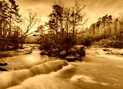 Sepia