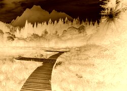 Sepia + Negatyw