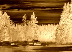 Sepia + Negatyw