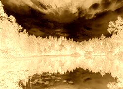 Sepia + Negatyw