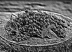 Skamielina