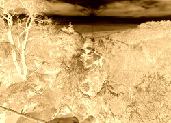 Sepia + Negatyw