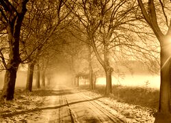 Sepia