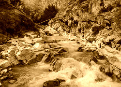 Sepia