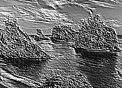Skamielina