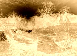 Sepia + Negatyw
