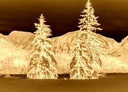 Sepia + Negatyw
