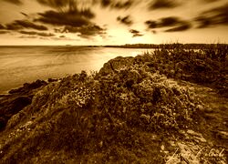 Sepia