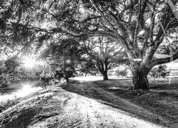 Szary + Sepia