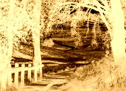 Sepia + Negatyw