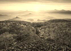 Sepia