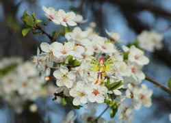 Oryginalny obrazek