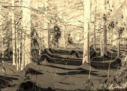 Sepia + Negatyw