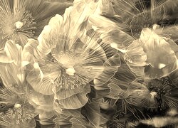 Szary + Sepia