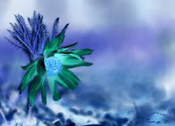 Negatyw