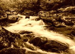 Sepia