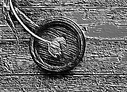 Skamielina