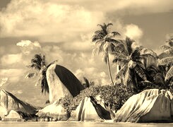 Szary + Sepia