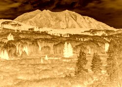 Sepia + Negatyw