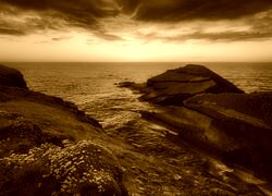 Sepia
