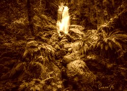Sepia
