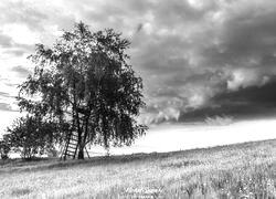 Szary + Sepia