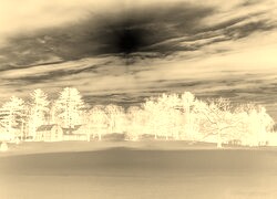 Sepia + Negatyw