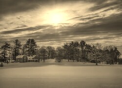 Sepia