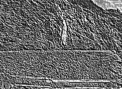 Skamielina