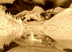 Sepia + Negatyw