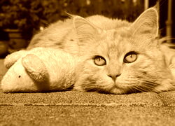 Sepia