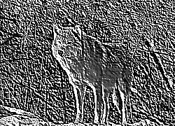 Skamielina