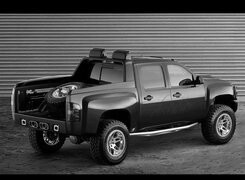 Szary