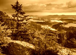 Sepia