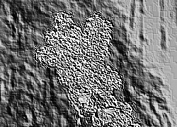 Skamielina