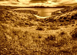 Sepia