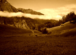 Sepia