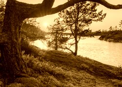 Sepia