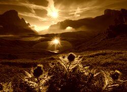 Sepia