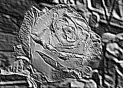 Skamielina