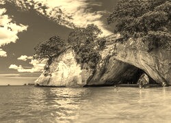 Szary + Sepia