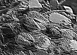 Skamielina