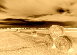 Sepia + Negatyw