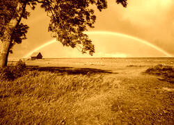 Sepia