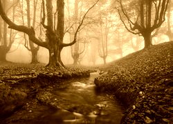 Sepia