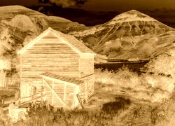 Sepia + Negatyw