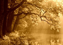 Sepia