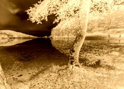 Sepia + Negatyw
