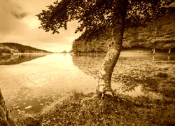 Sepia