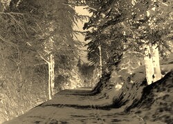 Sepia + Negatyw